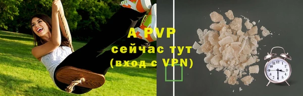 эйфоретик Арсеньев