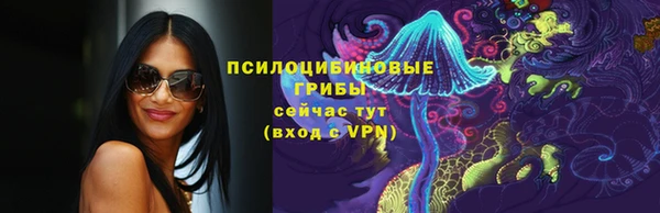 эйфоретик Арсеньев