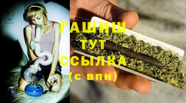 эйфоретик Арсеньев
