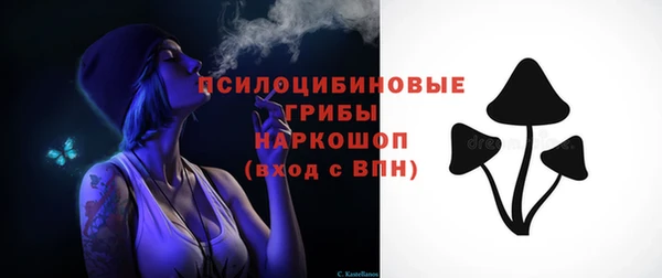 эйфоретик Арсеньев