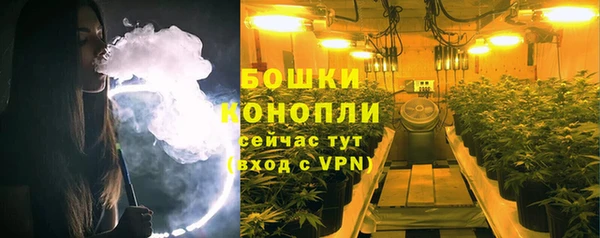 эйфоретик Арсеньев