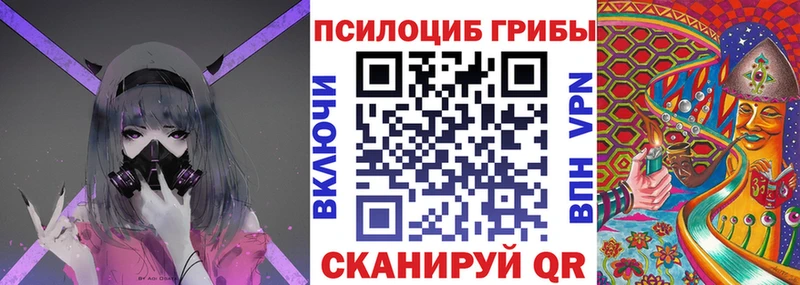 блэк спрут как зайти  Елабуга  Галлюциногенные грибы Cubensis 