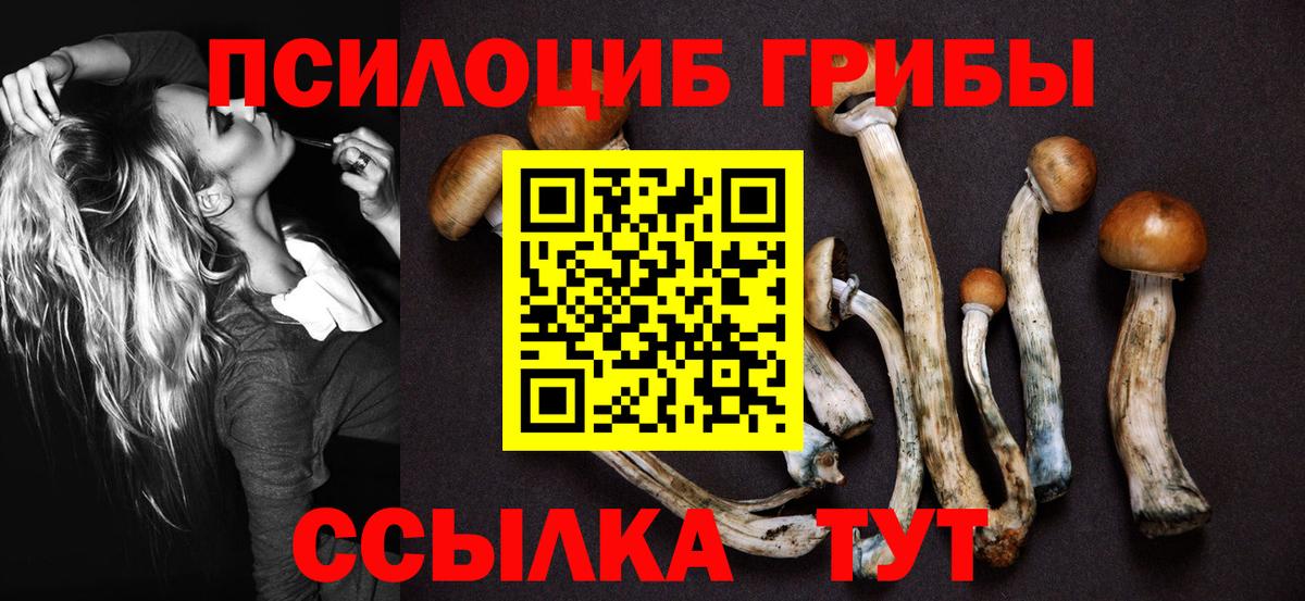 Псилоцибиновые грибы ЛСД  Вход с VPN  Елабуга 